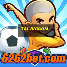 tai bigcom