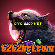 cược 8899 net