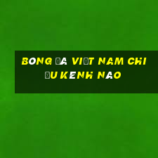 bóng đá việt nam chiếu kênh nào