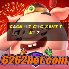 Cách đặt cược XSNT Thứ 7