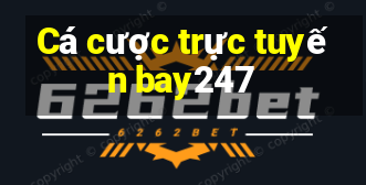 Cá cược trực tuyến bay247