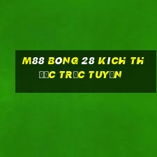 M88 Bóng 28 Kích thước Trực tuyến