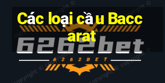 Các loại cầu Baccarat