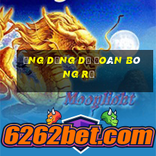 ứng dụng dự đoán bóng rổ