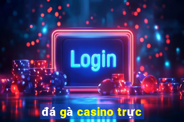 đá gà casino trực