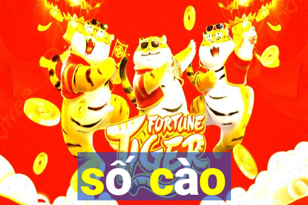 số cào