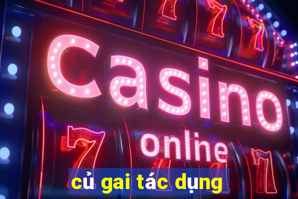 củ gai tác dụng