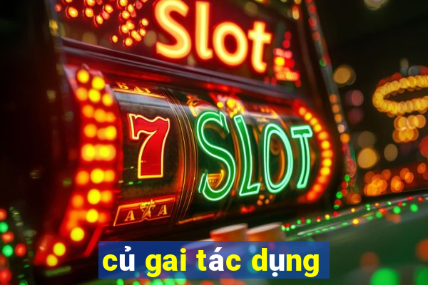 củ gai tác dụng