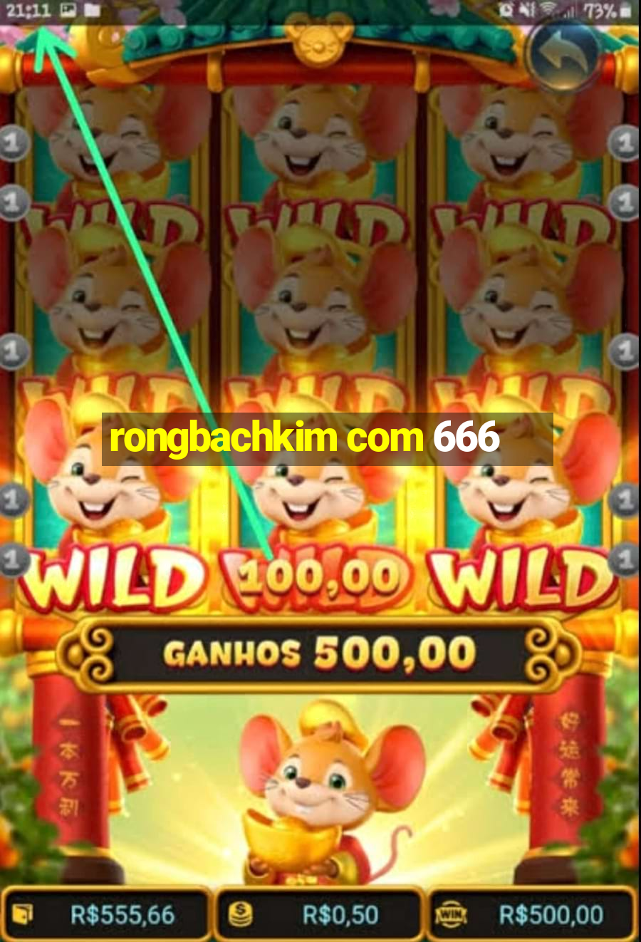 rongbachkim com 666