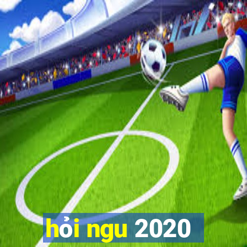 hỏi ngu 2020