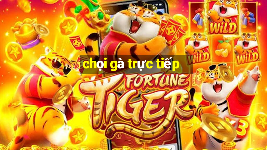 chọi gà trực tiếp