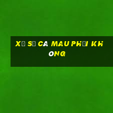 xổ số cà mau phải không