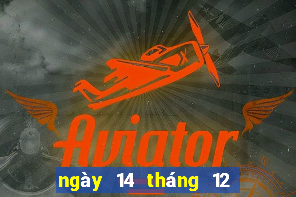 ngày 14 tháng 12 xổ số bình định