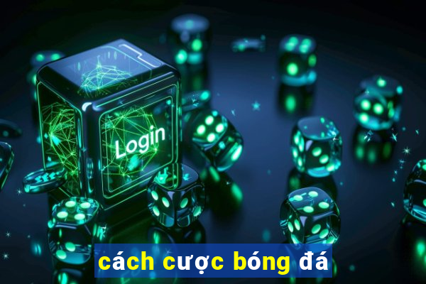 cách cược bóng đá