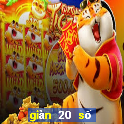 giàn 20 số khung 3 ngày