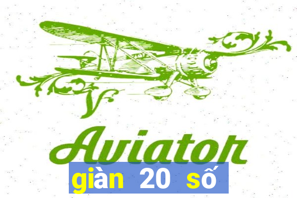 giàn 20 số khung 3 ngày