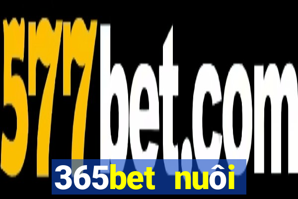 365bet nuôi dưỡng Châu Á