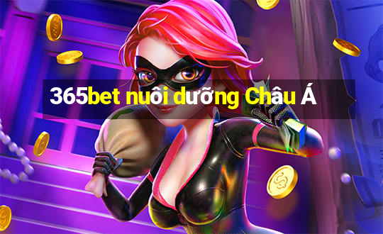 365bet nuôi dưỡng Châu Á