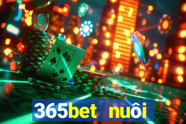 365bet nuôi dưỡng Châu Á