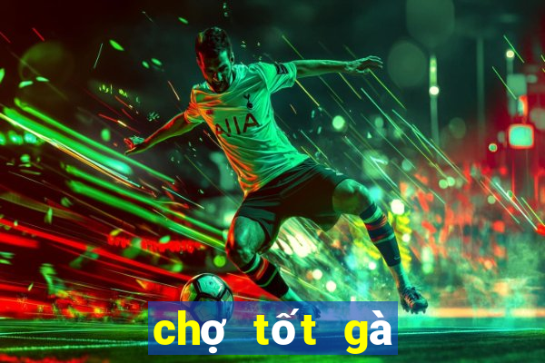 chợ tốt gà đá củ chi