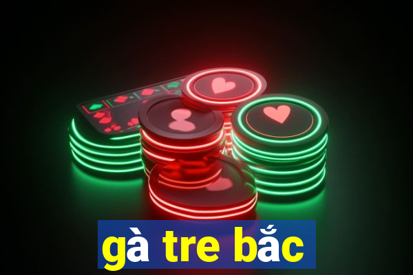 gà tre bắc