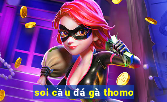 soi cầu đá gà thomo