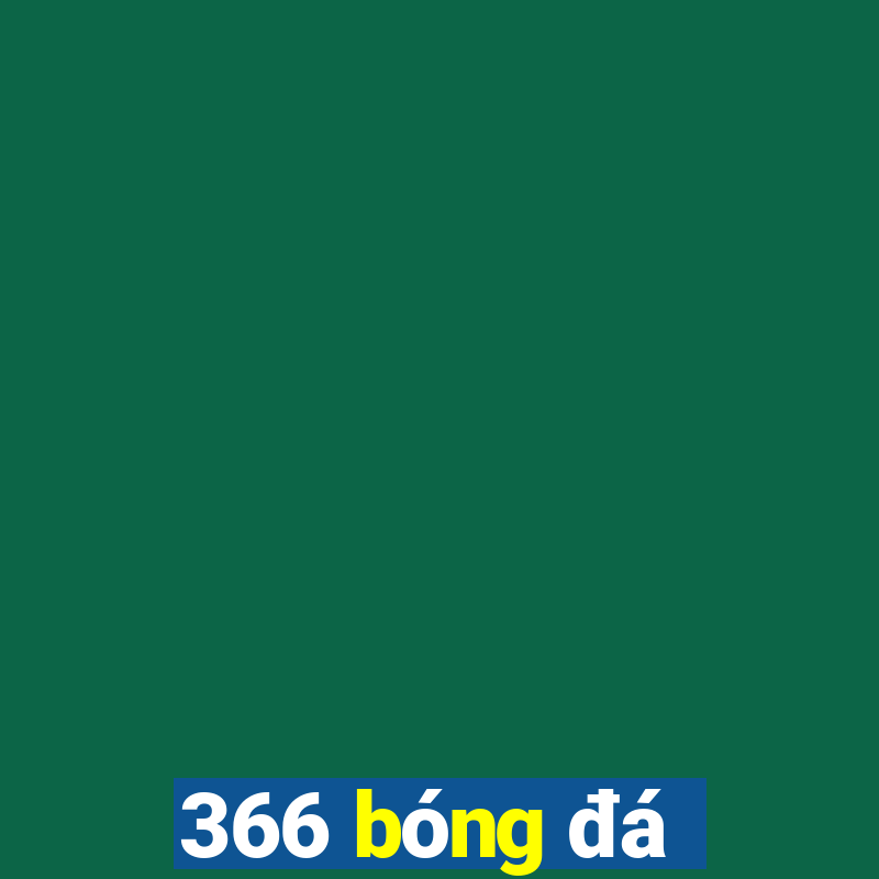 366 bóng đá