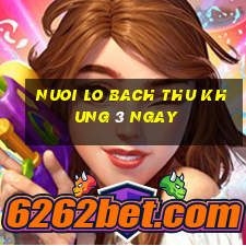 nuoi lo bach thu khung 3 ngay