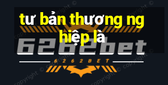 tư bản thương nghiệp là