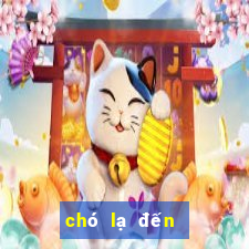 chó lạ đến nhà ở