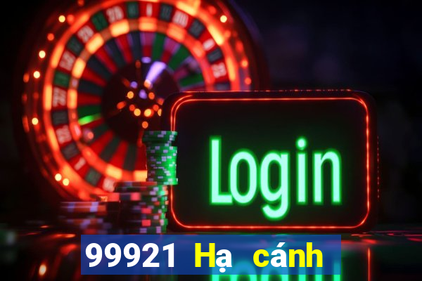 99921 Hạ cánh trong thời gian