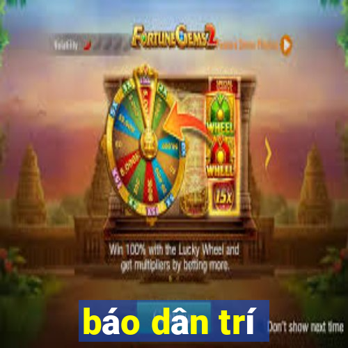 báo dân trí