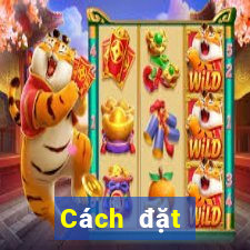 Cách đặt cược XSDT