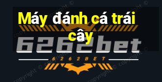 Máy đánh cá trái cây