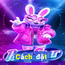 Cách đặt cược XSDNO ngày 16