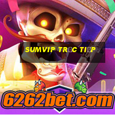 sumvip trực tiếp