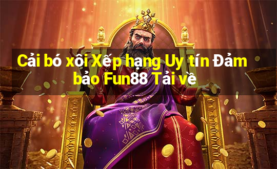 Cải bó xôi Xếp hạng Uy tín Đảm bảo Fun88 Tải về