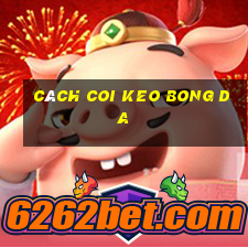 cách coi keo bong da