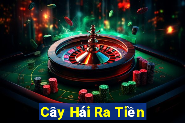 Cây Hái Ra Tiền