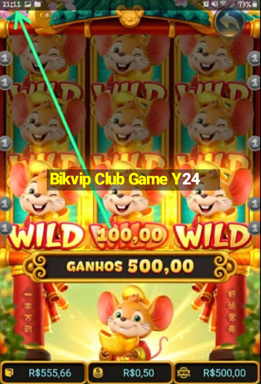 Bikvip Club Game Y24