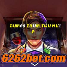 bum68 trùm thu nhập