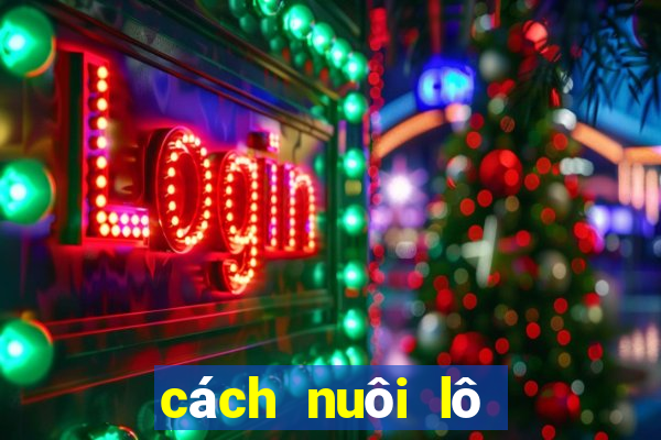 cách nuôi lô hiệu quả