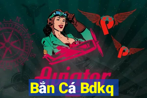 Bắn Cá Bdkq