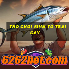 tro choi sinh to trai cay