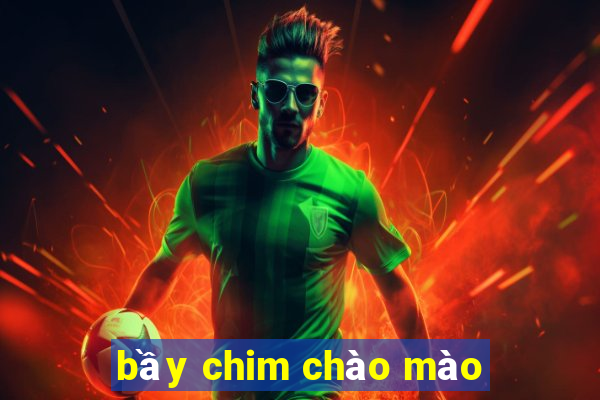 bầy chim chào mào