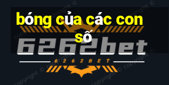 bóng của các con số