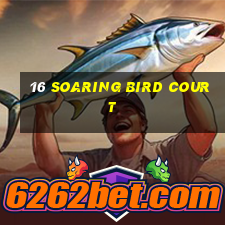 16 soaring bird court