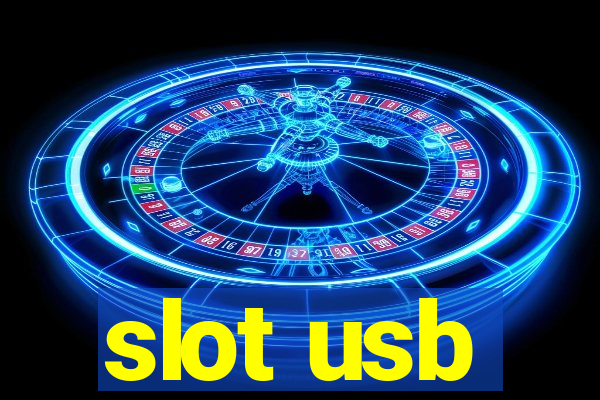 slot usb