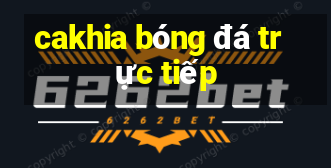 cakhia bóng đá trực tiếp