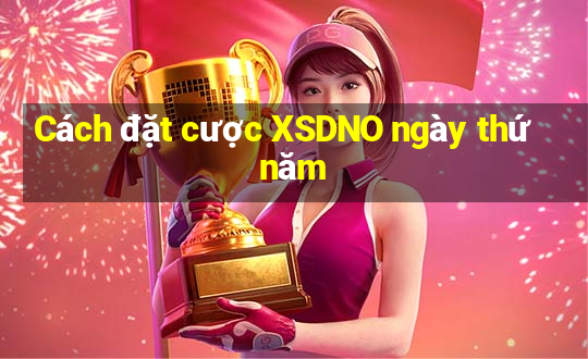 Cách đặt cược XSDNO ngày thứ năm